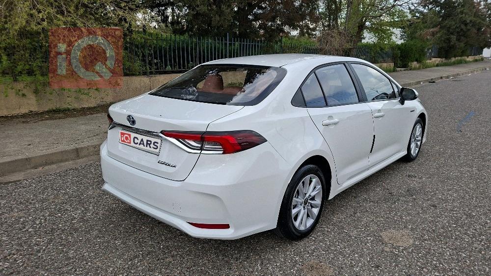 تويوتا كورولا